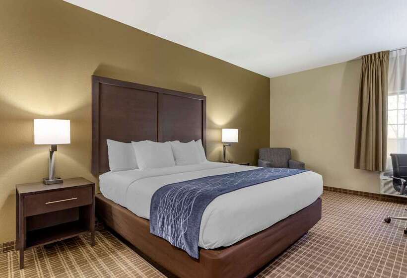 Szálloda Comfort Inn St Robert Fort Leonard Wood
