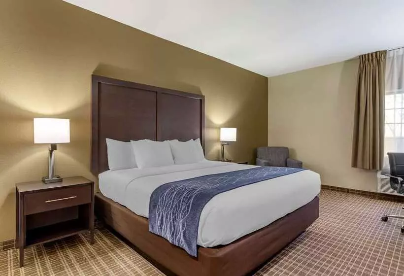 호텔 Comfort Inn St Robert Fort Leonard Wood