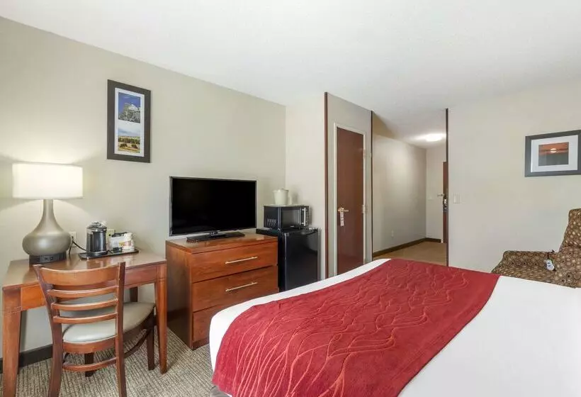 فندق Comfort Inn & Suites