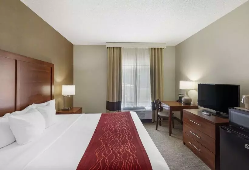 فندق Comfort Inn & Suites