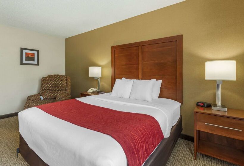 Отель Comfort Inn & Suites