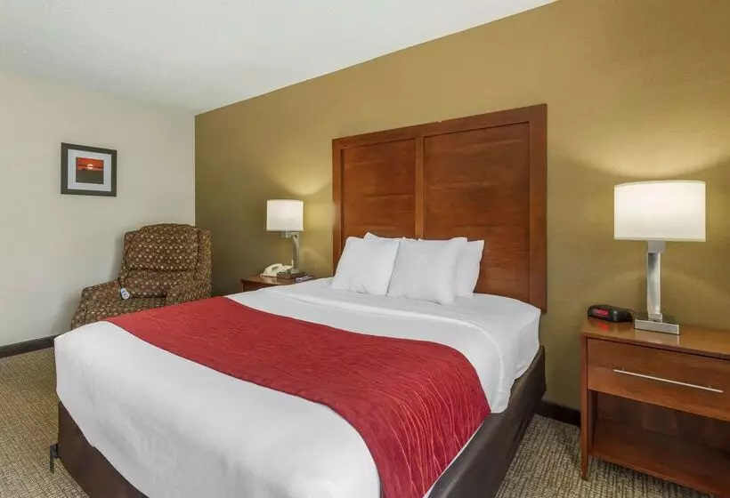 فندق Comfort Inn & Suites