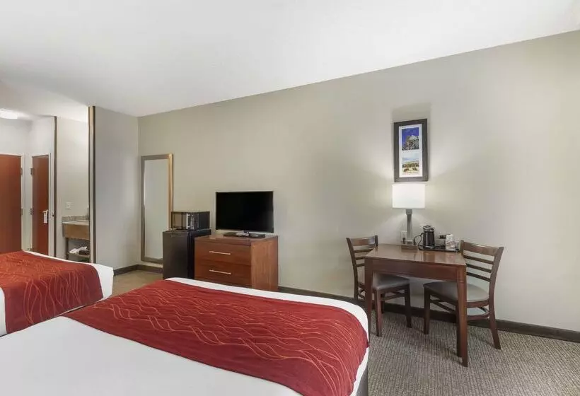 فندق Comfort Inn & Suites