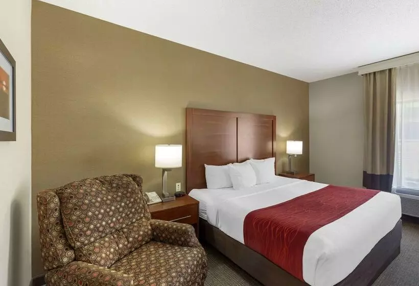 فندق Comfort Inn & Suites