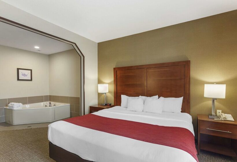 Отель Comfort Inn & Suites