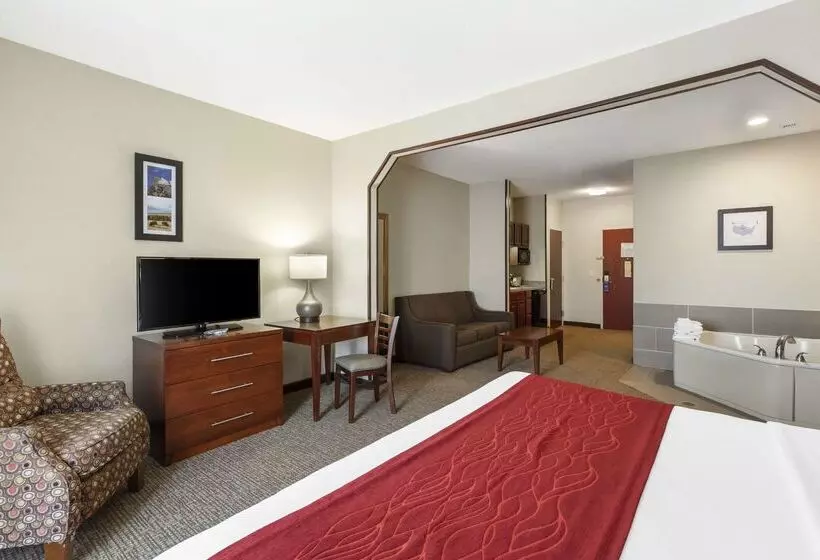 فندق Comfort Inn & Suites