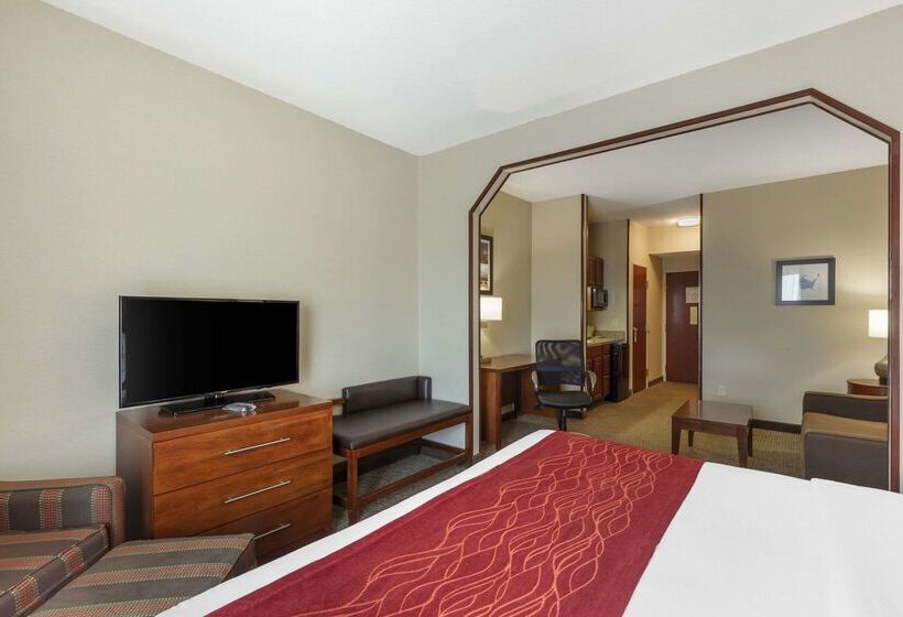 Отель Comfort Inn & Suites