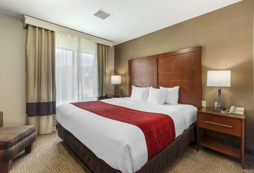Отель Comfort Inn & Suites