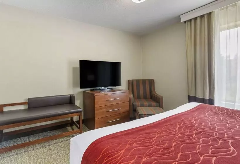 فندق Comfort Inn & Suites