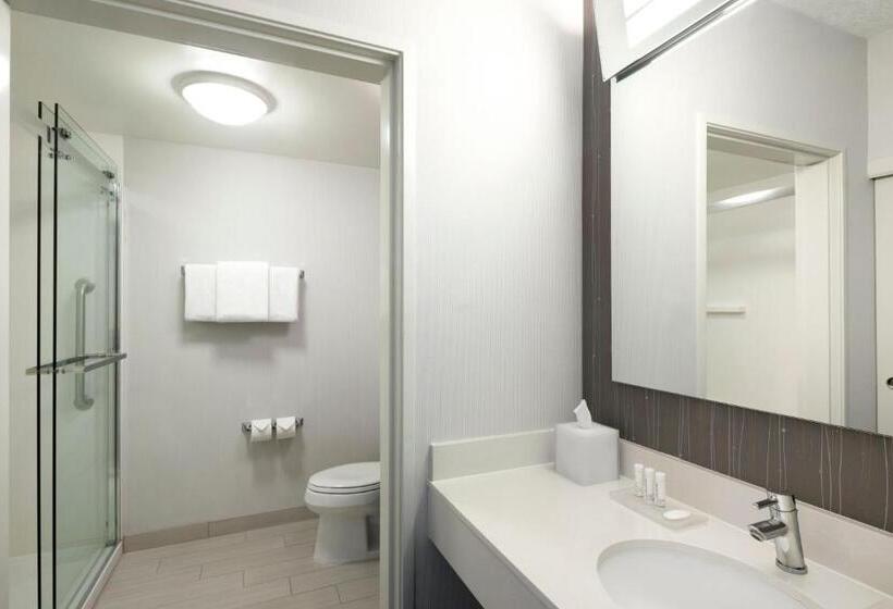 호텔 Courtyard By Marriott Austin Round Rock