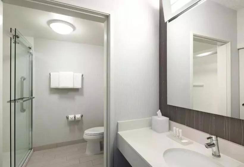 호텔 Courtyard By Marriott Austin Round Rock