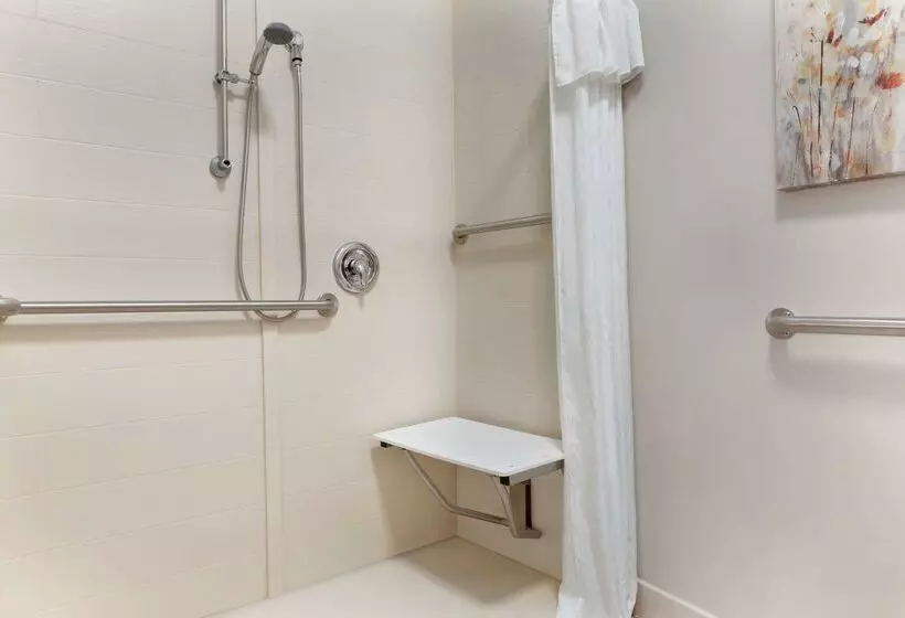 酒店 Homewood Suites By Hilton Columbusdublin