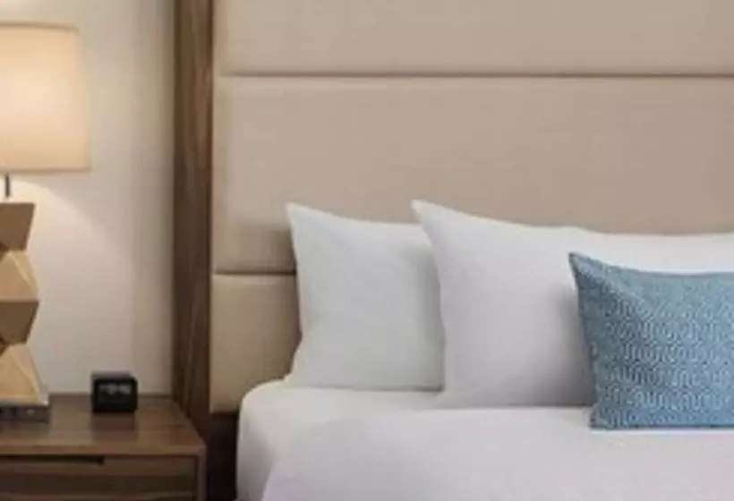 酒店 Homewood Suites By Hilton Lubbock