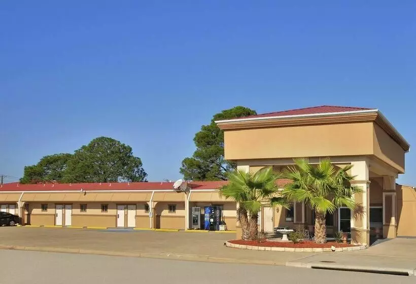 酒店 Mccoy   Art, Libations, Pool Society