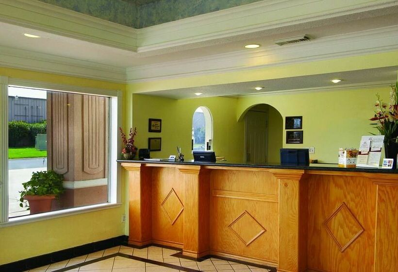 فندق Mccoy   Art, Libations, Pool Society