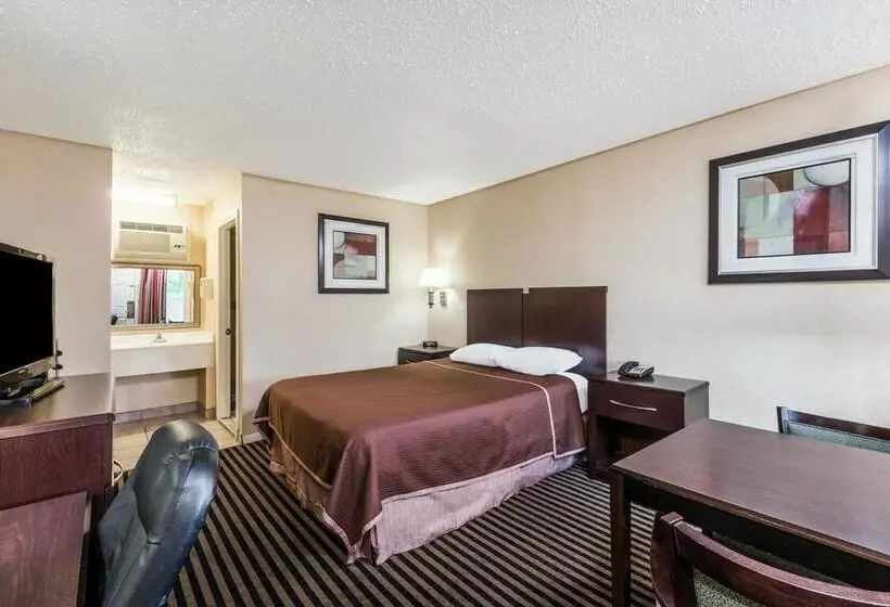 酒店 Mccoy   Art, Libations, Pool Society