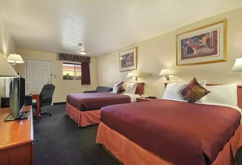 酒店 Mccoy   Art, Libations, Pool Society