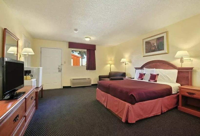 酒店 Mccoy   Art, Libations, Pool Society