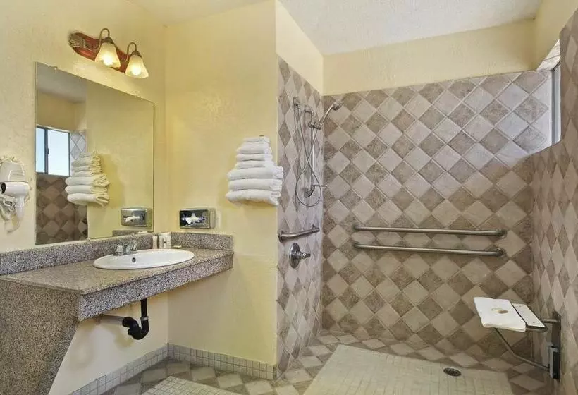 酒店 Mccoy   Art, Libations, Pool Society