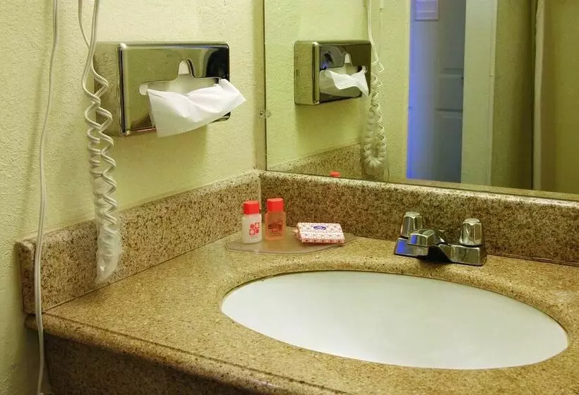 酒店 Mccoy   Art, Libations, Pool Society