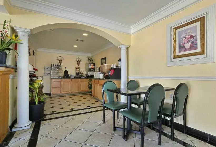 酒店 Mccoy   Art, Libations, Pool Society