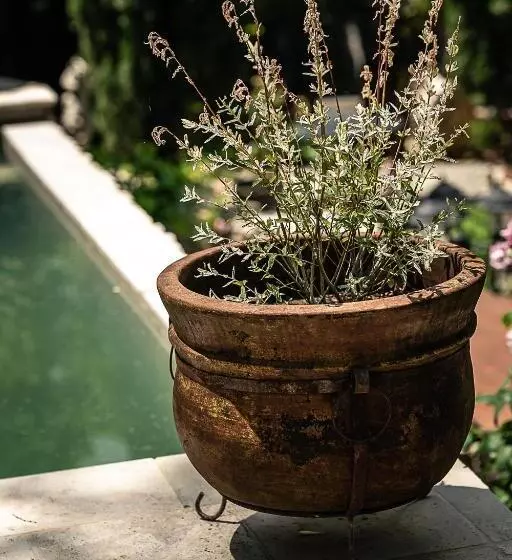 ホテル La Bouscatière