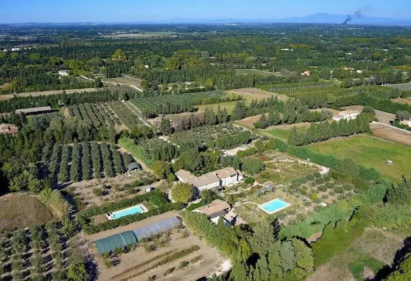 Szálloda Mas Des Figues   Mas Xviiie   Ouvert 01 Mai Au 30 Septembre 2025   Piscine Très Calme   Alpilles Sai