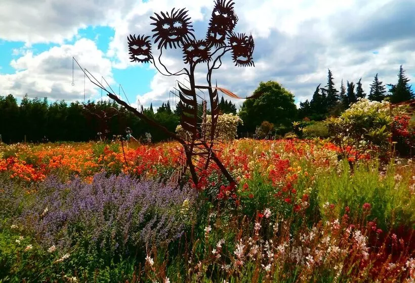Szálloda Mas Des Figues   Mas Xviiie   Ouvert 01 Mai Au 30 Septembre 2025   Piscine Très Calme   Alpilles Sai