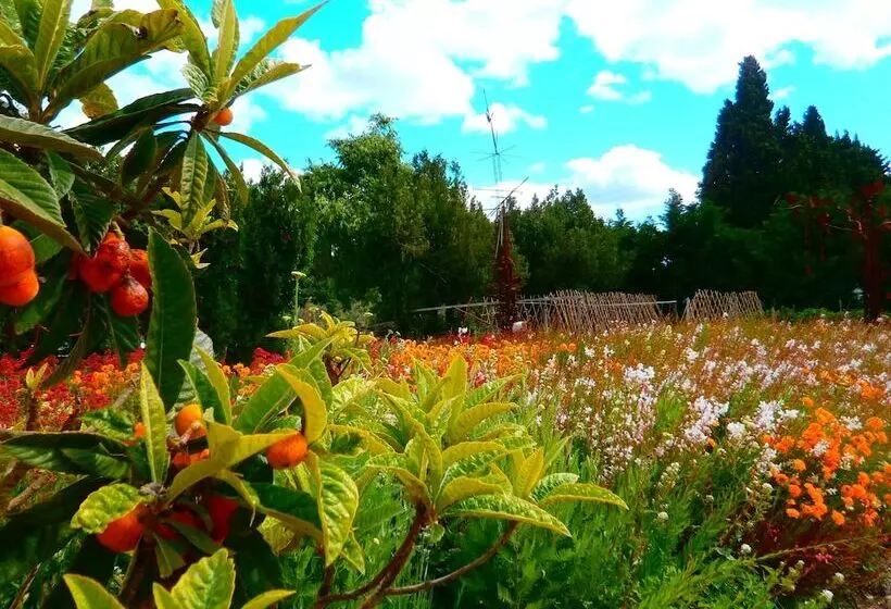 Szálloda Mas Des Figues   Mas Xviiie   Ouvert 01 Mai Au 30 Septembre 2025   Piscine Très Calme   Alpilles Sai