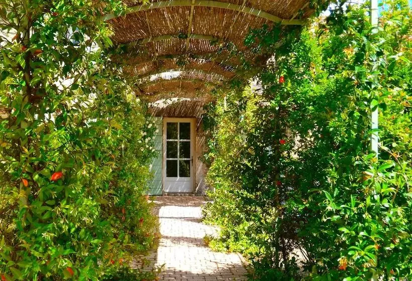 Szálloda Mas Des Figues   Mas Xviiie   Ouvert 01 Mai Au 30 Septembre 2025   Piscine Très Calme   Alpilles Sai