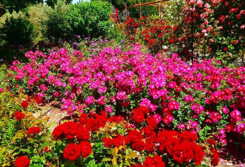 هتل Mas Des Figues Mas Xviiie Ouvert 01 Mai Au 30 Septembre 2025 Piscine Très Calme Alpilles Sai