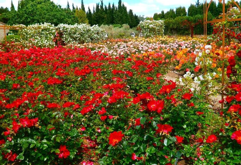 هتل Mas Des Figues Mas Xviiie Ouvert 01 Mai Au 30 Septembre 2025 Piscine Très Calme Alpilles Sai