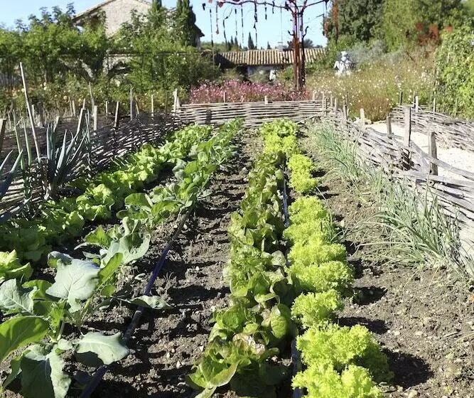 Szálloda Mas Des Figues   Mas Xviiie   Ouvert 01 Mai Au 30 Septembre 2025   Piscine Très Calme   Alpilles Sai