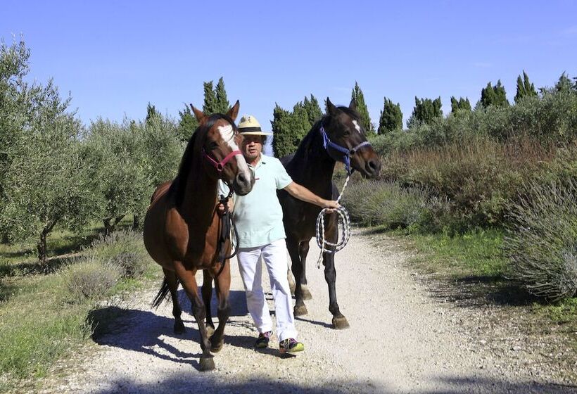 هتل Mas Des Figues Mas Xviiie Ouvert 01 Mai Au 30 Septembre 2025 Piscine Très Calme Alpilles Sai