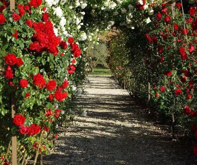 Szálloda Mas Des Figues   Mas Xviiie   Ouvert 01 Mai Au 30 Septembre 2025   Piscine Très Calme   Alpilles Sai