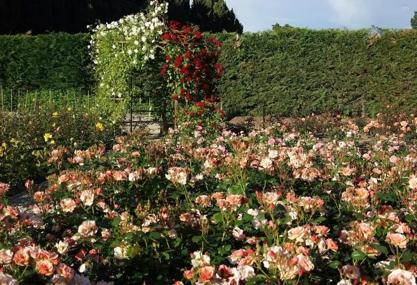 Szálloda Mas Des Figues   Mas Xviiie   Ouvert 01 Mai Au 30 Septembre 2025   Piscine Très Calme   Alpilles Sai