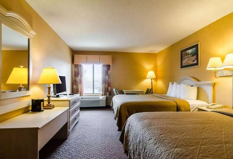 酒店 Quality Inn & Suites