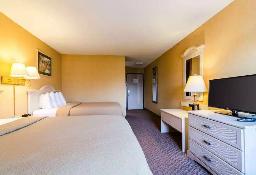 酒店 Quality Inn & Suites