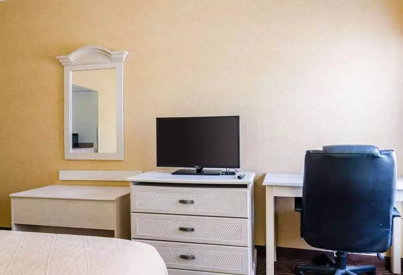 酒店 Quality Inn & Suites