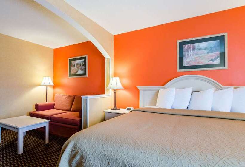 فندق Quality Inn & Suites