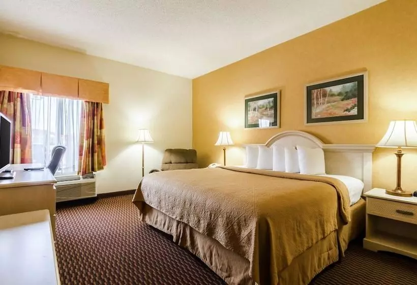 酒店 Quality Inn & Suites