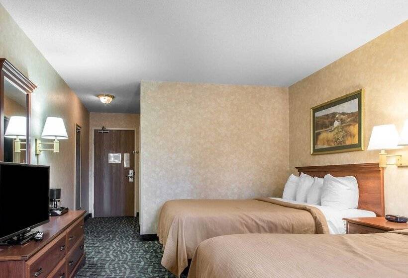 호텔 Quality Inn & Suites