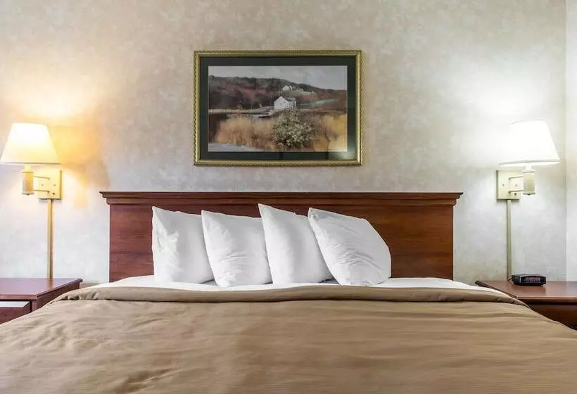 酒店 Quality Inn & Suites