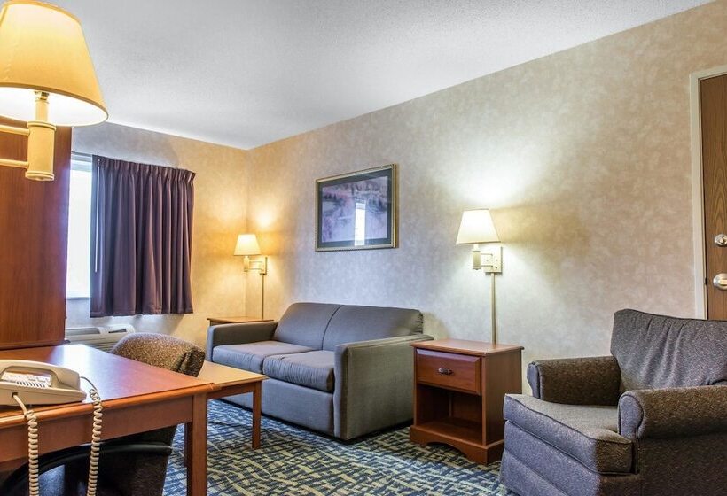 호텔 Quality Inn & Suites