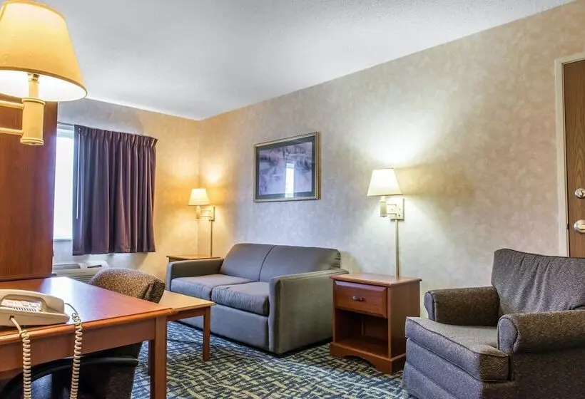 酒店 Quality Inn & Suites