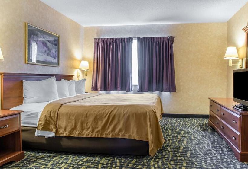 호텔 Quality Inn & Suites
