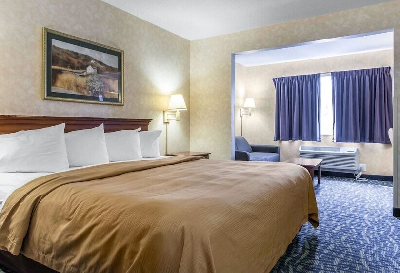 호텔 Quality Inn & Suites