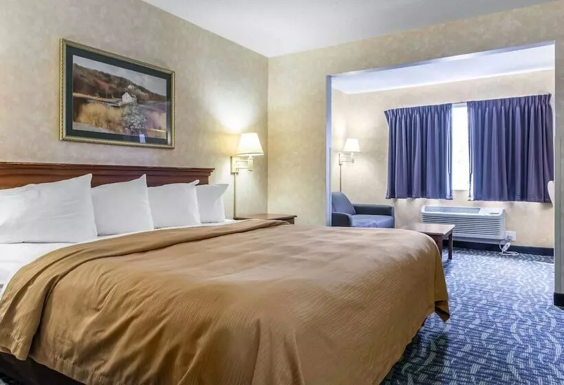 酒店 Quality Inn & Suites