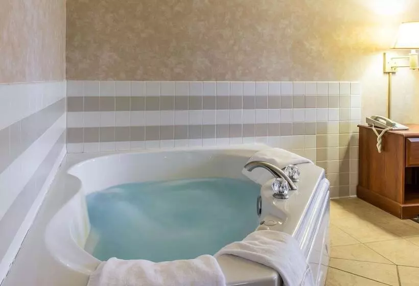 酒店 Quality Inn & Suites