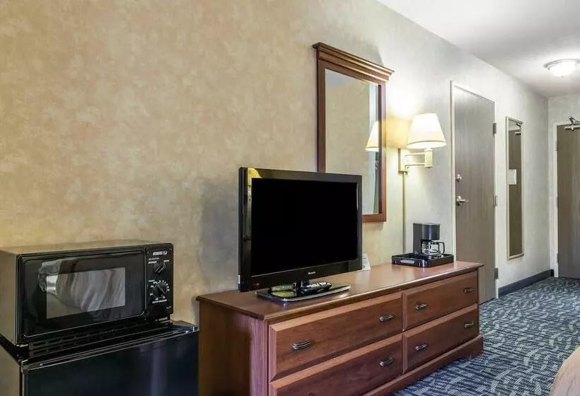 酒店 Quality Inn & Suites
